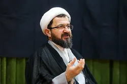 شیعه رضوی