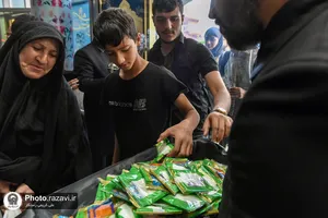 استقبال از زائرین دهه آخر صفر در پایانه مسافری مشهد