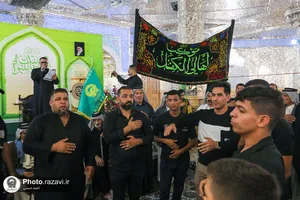تشرف کاروان اهالی الکفل عراق به حرم مطهر رضوی