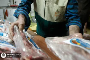توزیع گوشت قربانی بین دانش آموزان حاشیه شهر مشهد