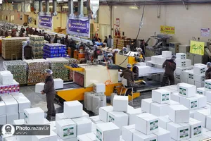 آماده&zwnj;سازی 10هزار بسته معیشتی برای مردم غیور لبنان