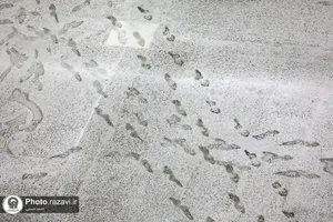 بارش برف در حرم مطهر رضوی