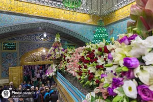 گل&zwnj;آرایی ضریح مطهر رضوی در آستانه ولادت امام رضا علیه&zwnj;السلام