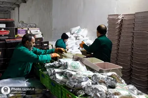 آماده سازی ۸هزار بسته معیشتی طرح امام رئوف