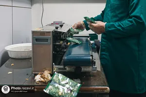 بازدید اساتید بسیجی دانشگاه آزاد اسلامی