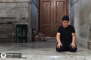قطعه&zwnj;ای از بهشت؛ صحن جمهوری
