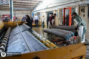 بازدید کارکنان آستان قدس رضوی از شرکت فرش