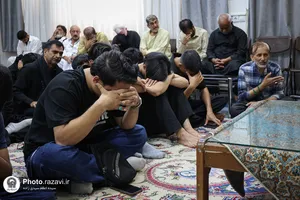 نشست تخصصی اردو&zwnj;زبانان در رواق ملل حرم مطهر رضوی
