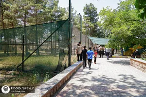 بیلدر
