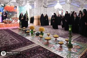 نبات
