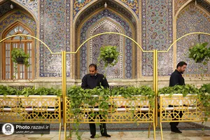 گل آرایی رواق امام خمینی(ره) حرم مطهر رضوی