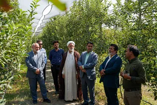 بازدید کارکنان آستان قدس رضوی از مزرعه نمونه