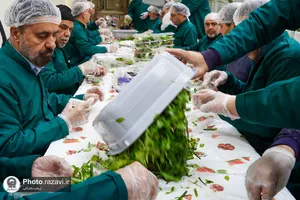 بسته بندی و توزیع افطار سبک در چایخانه حضرت رضا علیه&zwnj;السلام