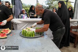 مواکب خدمت رسان به زائران بارگاه منور رضوی