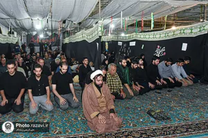 موکب &laquo;دارالکرامه&raquo; امام رضا علیه&zwnj;السلام در خیابان شارستان