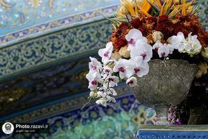 گل&zwnj;آرایی ضریح مطهر رضوی به مناسبت نیمه شعبان