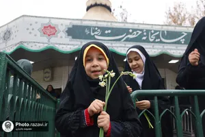 توزیع گل نرگس در چایخانه حرم مطهر رضوی