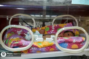 عیادت خدام حرم مطهر رضوی از ۴ قلوهای تازه به دنیا آمده مشهدی