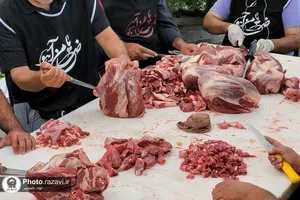 موکب&zwnj;های خدمت&zwnj;رسان به زائرین حضرت رضا(علیه&zwnj;السلام) در دهه آخر صفر -4