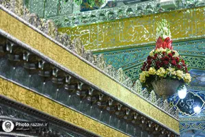 گل&zwnj;آرایی ضریح منور رضوی با گل&zwnj;های نرگس اهدایی از بهبهان