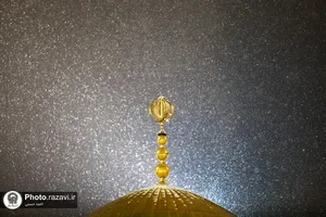 بارش برف شبانگاهی در حرم مطهر رضوی