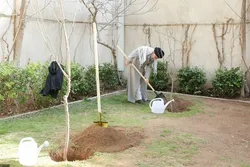 غرس ۳۰۰ نهال توسط خادمیاران بیرجند به یاد امام شهید امت
