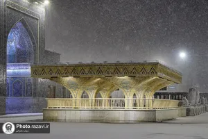 بارش برف در حرم مطهر رضوی-2