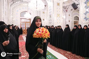 نبات