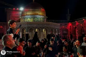 نمایشگاه عکس آرام جان