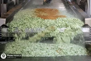 پخت و توزیع غذای متبرک ماهی سفره شب عید در مهمانسرای حضرت