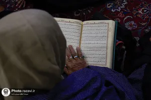 جشن ولادت حضرت زینب(س) زائران اردو زبان