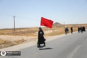 زائرین پیاده حضرت رضا علیه&zwnj;السلام در مسیر ملک&zwnj;آباد