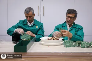 بازدید جمعی از پرستاران از بخش&zwnj;های مختلف حرم امام رضا علیه&zwnj;السلام
