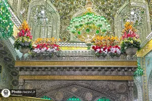 گل&zwnj;آرایی ضریح مطهر رضوی به مناسبت اعیاد شعبانیه