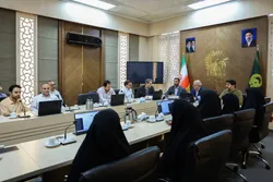 نقش کتابخانه‌ها در تحقق توسعه پایدار در کتابخانه رضوی بررسی شد