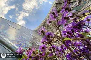 اردیبهشت در این قطعه از بهشت