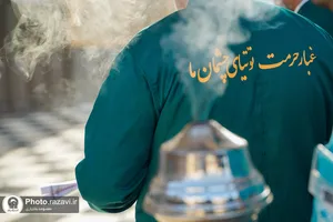 طهور رضوی