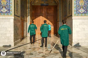 طهور رضوی