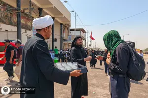 حضور دانش&zwnj;آموزان مدارس امام رضا علیه&zwnj;السلام در راهپیمایی اربعین حسینی