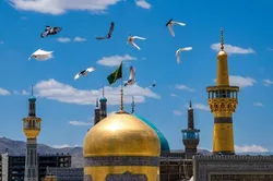 بدرقه‌ای از جنس عشق در آستانه روز عصای سفید+فیلم