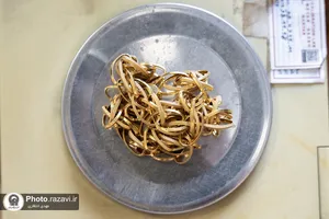 ویژه برنامه لبنان در پناه امام رئوف-1