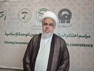امام رضا (ع) نقش محوری در وحدت جهان اسلام دارند