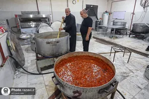 خدمت&zwnj;رسانی به زائران حضرت رضا(علیه&zwnj;السلام) در موسسه جوانان