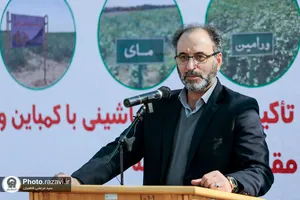 نشست مدیران و فعالان صنعت پنبه کشور