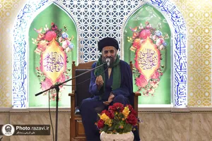 نشست تخصصی سیره سیاسی و اجتماعی امام رضا علیه&zwnj;السلام ویژه زائران اردو زبان