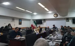 نقد کتاب «شکوفه نور» با حضور شاعران و علاقه‌مندان شعر آیینی