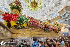 حال و هوای حرم بانوی کرامت در روز ولادت حضرت معصومه(س)