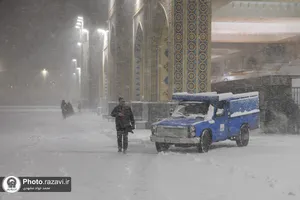 بارش برف پاییزی در حرم مطهر رضوی