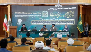مبارزه با نظام سلطه، محور مشترک اندیشه رضوی و مقاومت معاصر