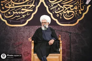 موکب عزاداری رضوی زنجانی&zwnj;ها